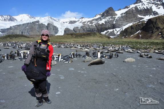 Visita à fantástica Gold Harbour, na Geórgia do Sul